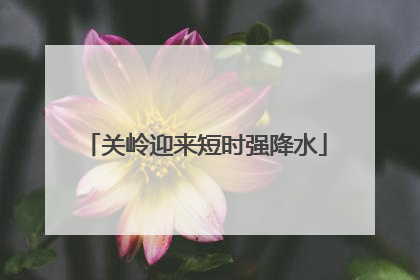 关岭迎来短时强降水