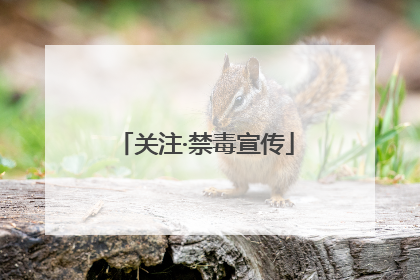 关注·禁毒宣传