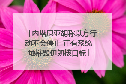内塔尼亚胡称以方行动不会停止 正有系统地摧毁伊朗核目标