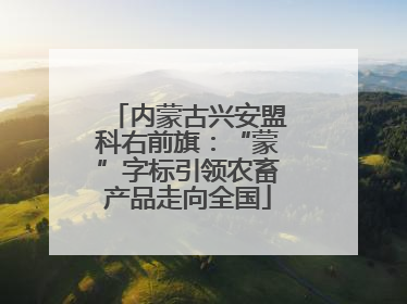 内蒙古兴安盟科右前旗：“蒙”字标引领农畜产品走向全国