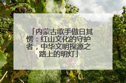 内蒙古歌手傲日其愣：红山文化的守护者，中华文明探源之路上的明灯