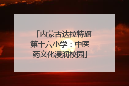 内蒙古达拉特旗第十六小学：中医药文化浸润校园