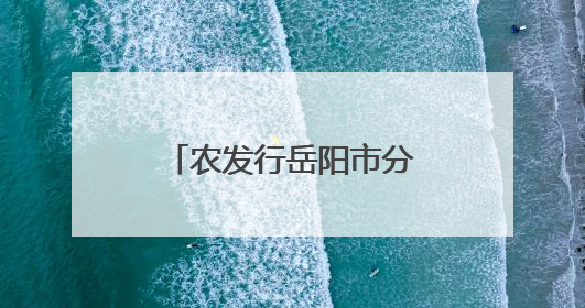 农发行岳阳市分行开展“倡导诚信风尚，共建守信社会”宣传活动