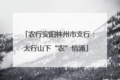 农行安阳林州市支行：太行山下“农”情涌