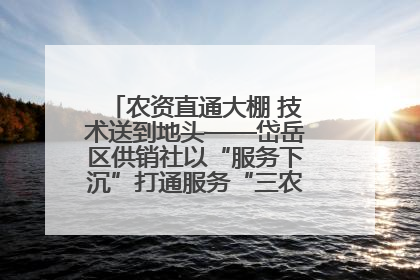 农资直通大棚 技术送到地头——岱岳区供销社以“服务下沉”打通服务“三农”最后一公里