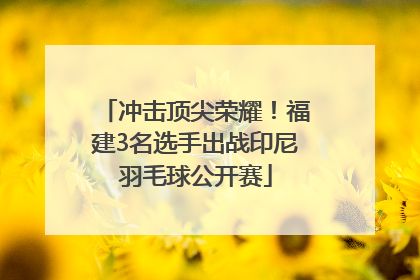 冲击顶尖荣耀！福建3名选手出战印尼羽毛球公开赛