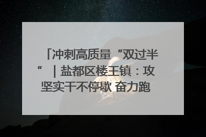 冲刺高质量“双过半”｜盐都区楼王镇：攻坚实干不停歇 奋力跑赢“上半场”