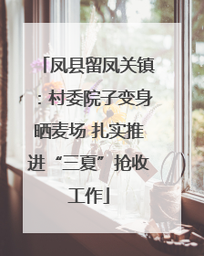 凤县留凤关镇：村委院子变身晒麦场 扎实推进“三夏”抢收工作