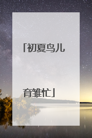 初夏鸟儿育雏忙