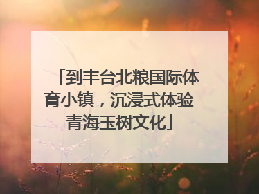 到丰台北粮国际体育小镇，沉浸式体验青海玉树文化