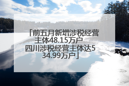 前五月新增涉税经营主体48.15万户 四川涉税经营主体达534.99万户