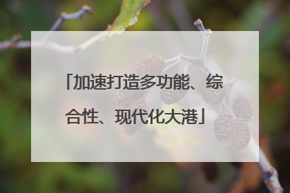 加速打造多功能、综合性、现代化大港