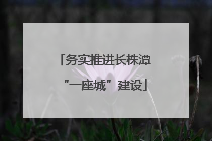 务实推进长株潭“一座城”建设