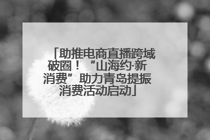 助推电商直播跨域破圈！“山海约·新消费”助力青岛提振消费活动启动