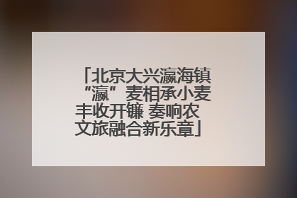 北京大兴瀛海镇“瀛”麦相承小麦丰收开镰 奏响农文旅融合新乐章