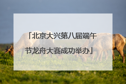 北京大兴第八届端午节龙舟大赛成功举办