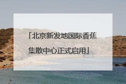 北京新发地国际香蕉集散中心正式启用