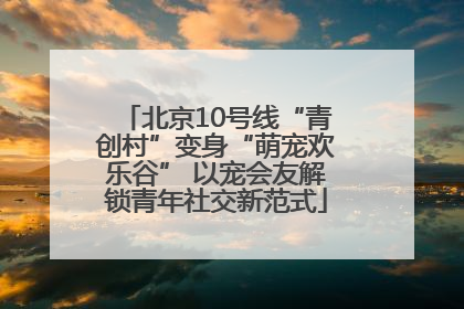 北京10号线“青创村”变身“萌宠欢乐谷” 以宠会友解锁青年社交新范式