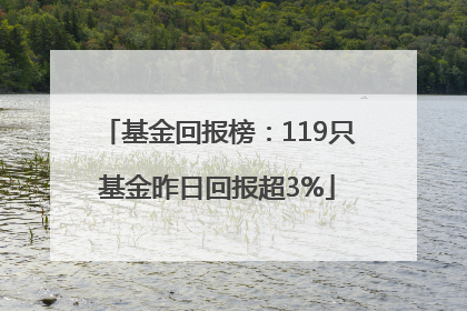 基金回报榜：119只基金昨日回报超3%