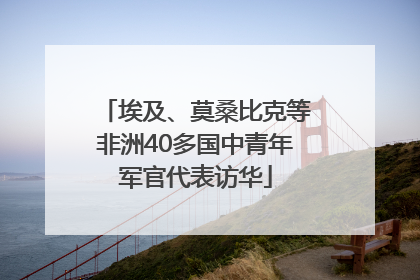 埃及、莫桑比克等非洲40多国中青年军官代表访华