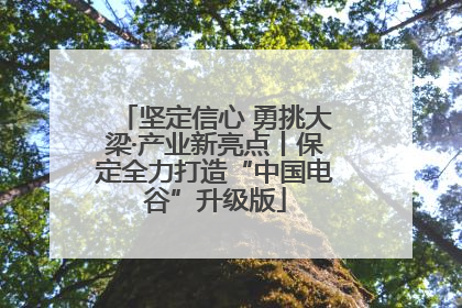 坚定信心 勇挑大梁·产业新亮点丨保定全力打造“中国电谷”升级版