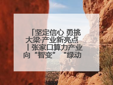 坚定信心 勇挑大梁·产业新亮点丨张家口算力产业向“智变”“绿动”跃升