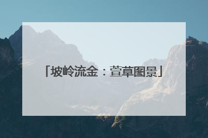坡岭流金：萱草图景