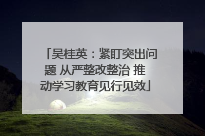 吴桂英：紧盯突出问题 从严整改整治 推动学习教育见行见效
