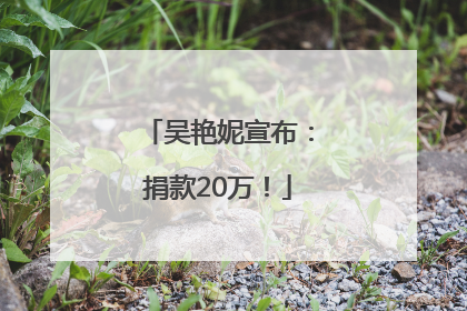 吴艳妮宣布：捐款20万！