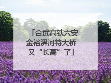 合武高铁六安金裕淠河特大桥又“长高”了