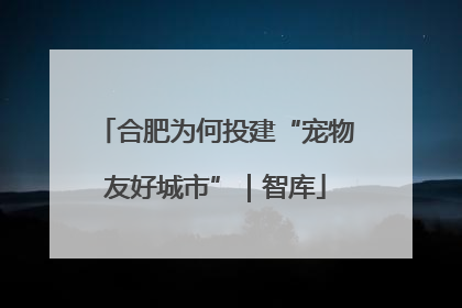 合肥为何投建“宠物友好城市”｜智库