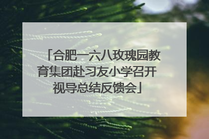 合肥一六八玫瑰园教育集团赴习友小学召开视导总结反馈会