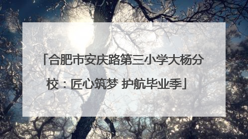 合肥市安庆路第三小学大杨分校：匠心筑梦 护航毕业季
