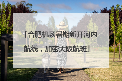 合肥机场暑期新开河内航线，加密大阪航班