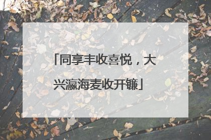 同享丰收喜悦，大兴瀛海麦收开镰