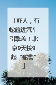 吓人，有蛇藏进汽车引擎盖！北京9天接9起“蛇警”