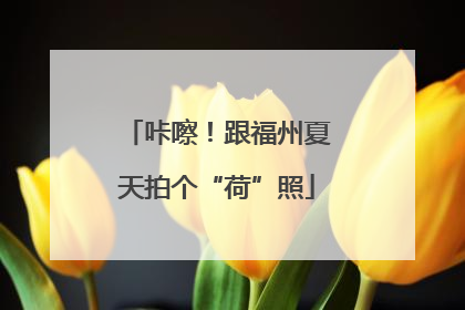 咔嚓！跟福州夏天拍个“荷”照