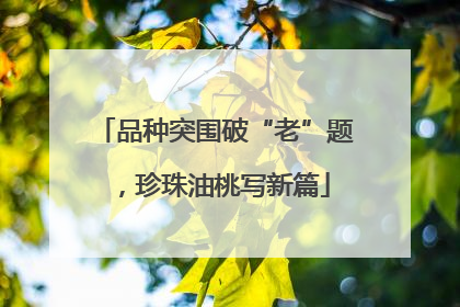 品种突围破“老”题，珍珠油桃写新篇