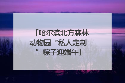 哈尔滨北方森林动物园“私人定制”粽子迎端午