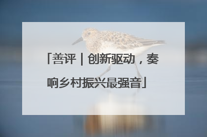 善评｜创新驱动，奏响乡村振兴最强音