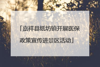 嘉祥县纸坊镇开展医保政策宣传进景区活动