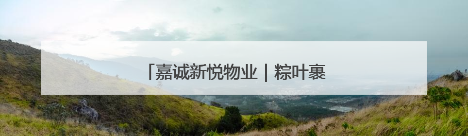 嘉诚新悦物业｜粽叶裹住欢笑 童声点亮端午