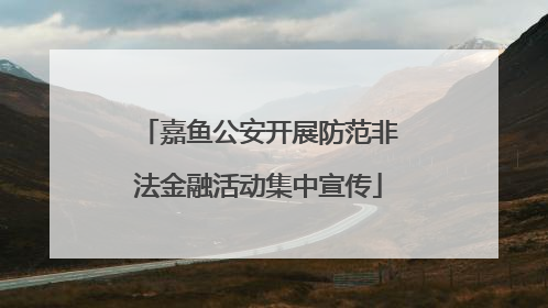 嘉鱼公安开展防范非法金融活动集中宣传