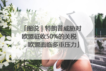 图说｜特朗普威胁对欧盟征收50%的关税，欧盟面临多重压力