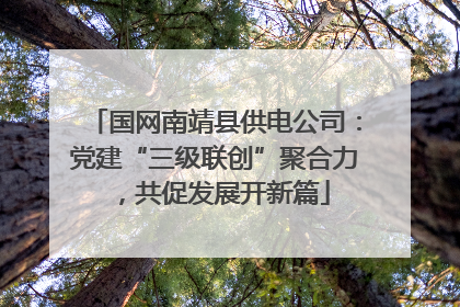 国网南靖县供电公司：党建“三级联创”聚合力，共促发展开新篇