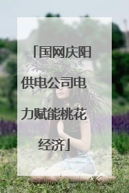 国网庆阳供电公司电力赋能桃花经济