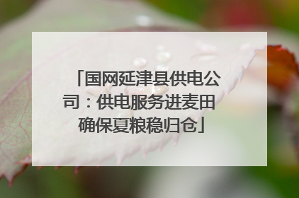 国网延津县供电公司：供电服务进麦田 确保夏粮稳归仓