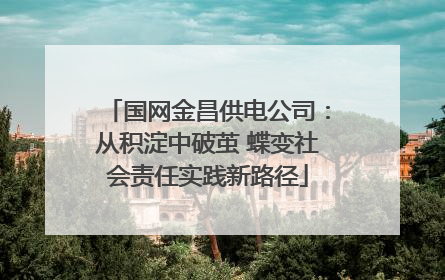 国网金昌供电公司：从积淀中破茧 蝶变社会责任实践新路径