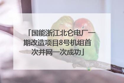 国能浙江北仑电厂一期改造项目8号机组首次并网一次成功