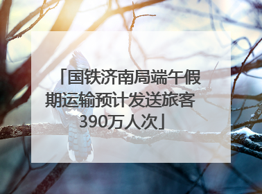 国铁济南局端午假期运输预计发送旅客390万人次